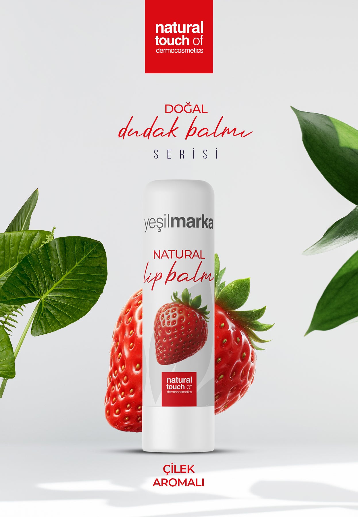 Lippenbalsam – Pflege & Schutz in verschiedenen Sorten